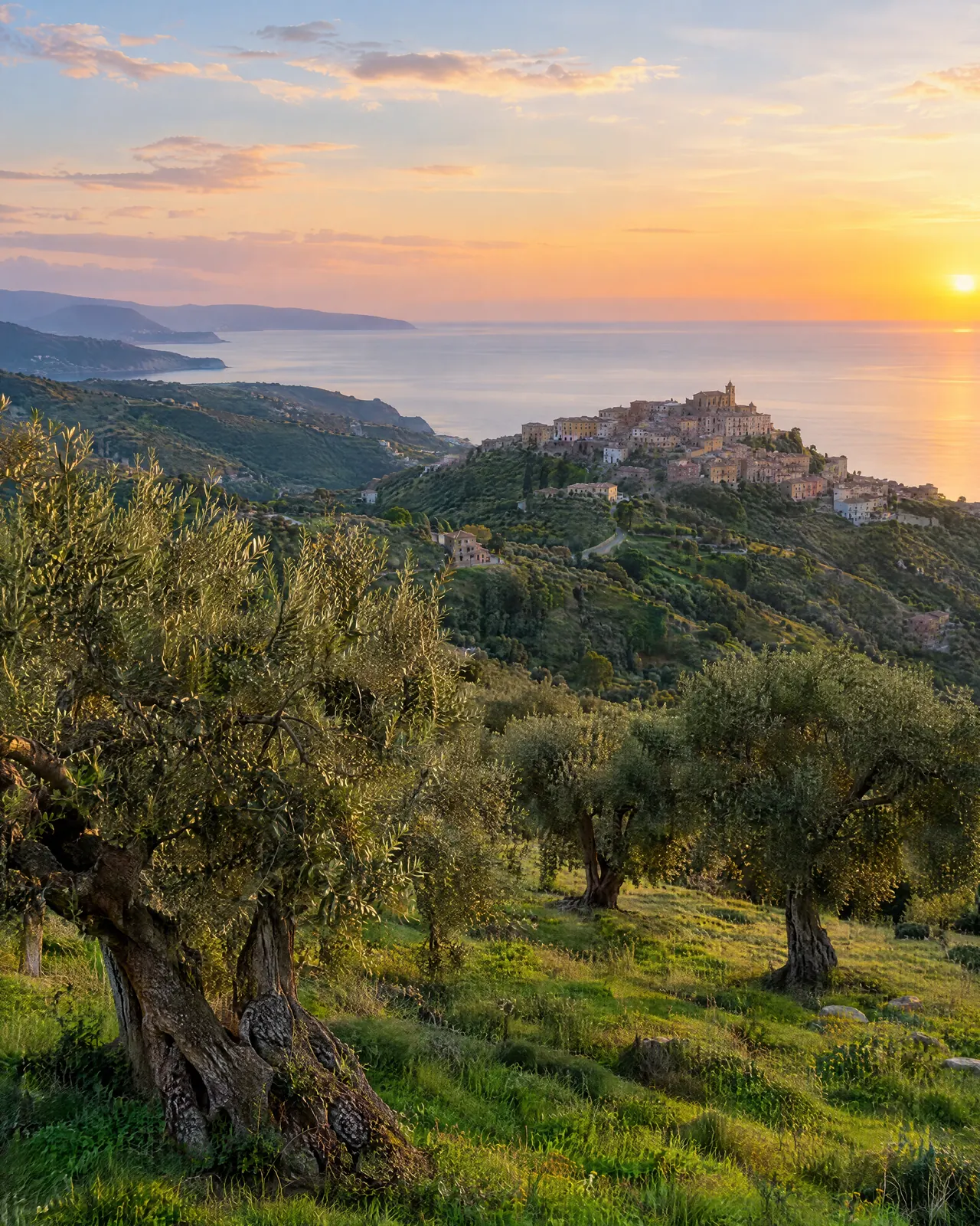 Colline calabresi con ulivi e il mare Ionio all’alba